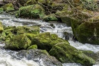 Prüm, Irreler Wasserfälle No.6