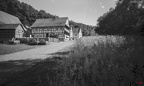 Getreidefelder, Gehöft Neuburg und Haus Dierbach, Pfalz - Rheinhessen
