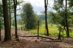 Der Ochsenbruch, ein Hangmoor im Hochwald I
