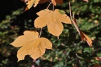 2012-10-21_11-22-30