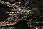 2012-10-21_11-52-17