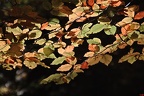 2012-10-21_11-53-37