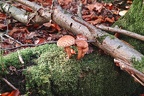 2012-10-21_12-01-50