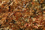 2012-10-21_12-18-09