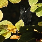 2012-10-21_11-44-21 - Arbeitskopie 2