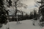 Typische Winterlandschaft in finnisch Lappland