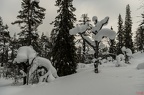 Schneeskulpturen
