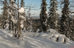 Winterlandschaft in finnisch Lappland