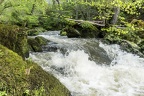 Prüm, Irreler Wasserfälle No.11