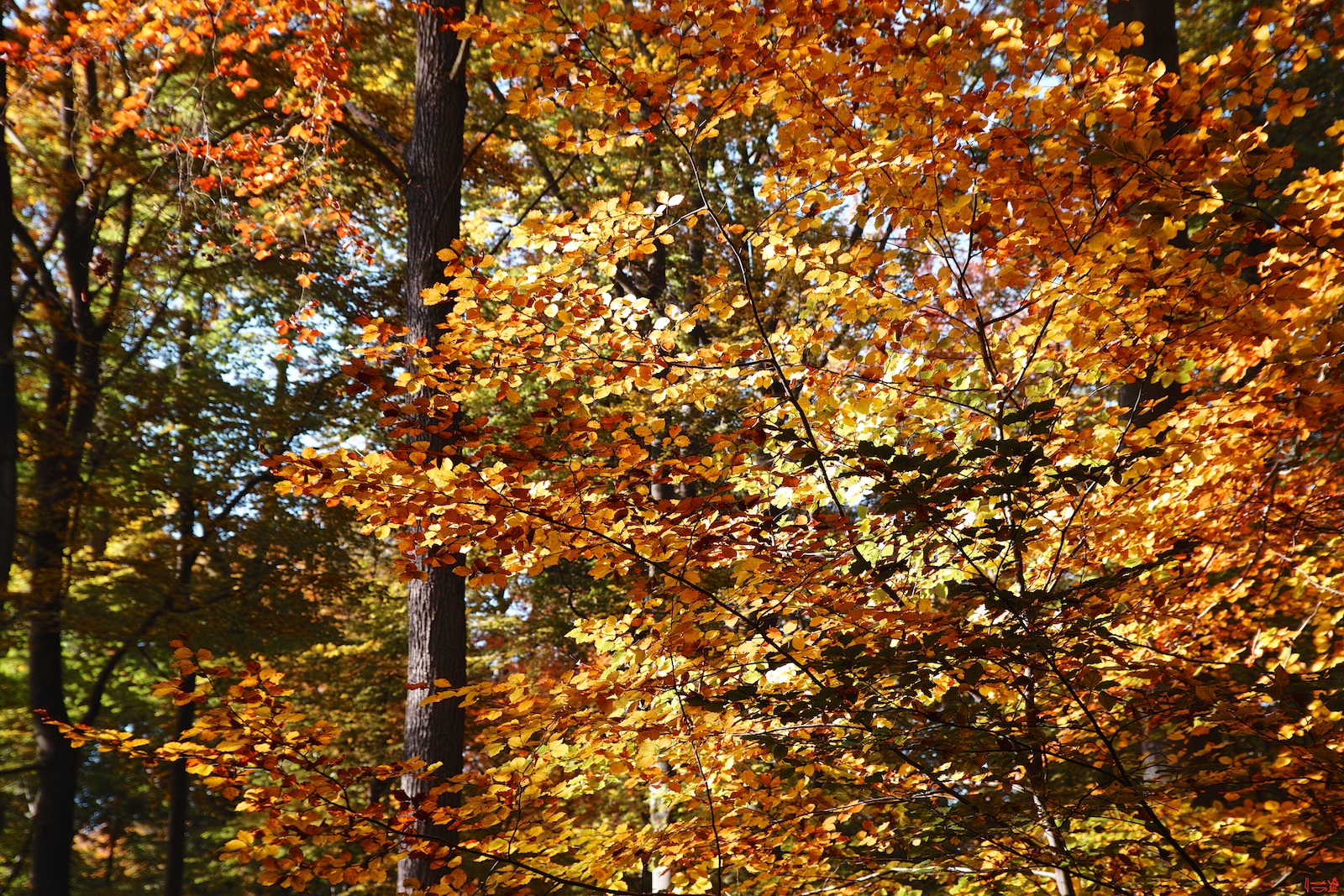 2012-10-21_11-20-56.jpg